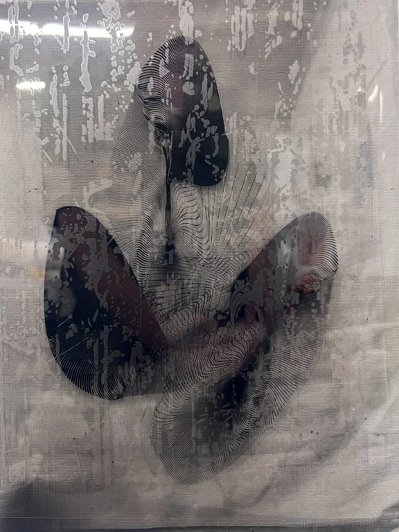 Dorothea Van Camp — 13FOREST Gallery